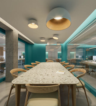 Duo Dual-Tone Dome Ceiling Light
