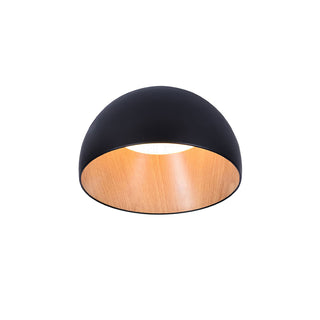 Duo Dual-Tone Dome Ceiling Light
