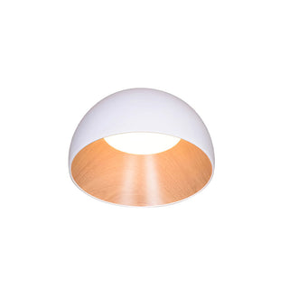 Duo Dual-Tone Dome Ceiling Light