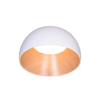 Duo Dual-Tone Dome Ceiling Light