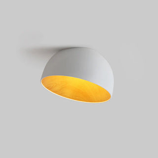 Duo Dual-Tone Dome Ceiling Light
