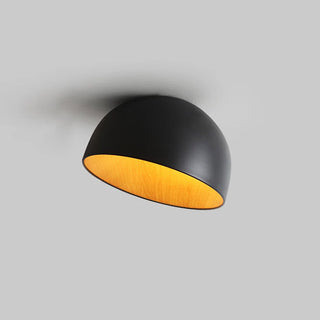 Duo Dual-Tone Dome Ceiling Light