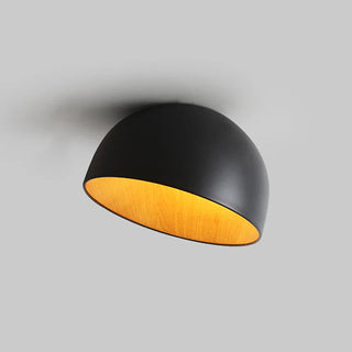 Duo Dual-Tone Dome Ceiling Light