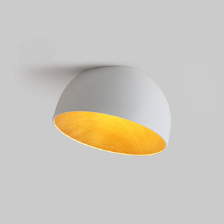Duo Dual-Tone Dome Ceiling Light