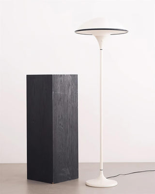 Foggy Saucer Minimalist Acrylic Floor Light