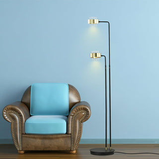 Gemini Modern Iron Twin Floor Light