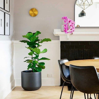 Gossa Mid-Century Modern Metal Wall Sconce