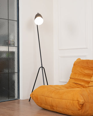 Grasshopper Minimalist Metal Floor Light