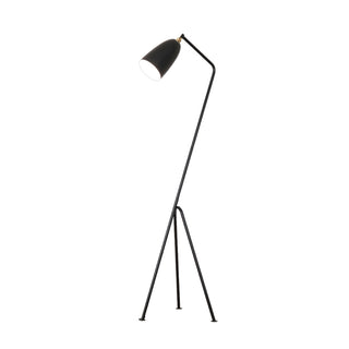 Grasshopper Minimalist Metal Floor Light