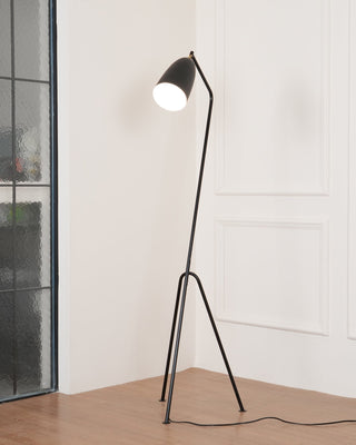 Grasshopper Minimalist Metal Floor Light