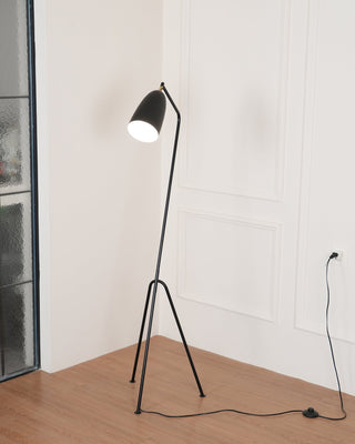Grasshopper Minimalist Metal Floor Light
