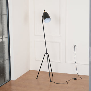Grasshopper Minimalist Metal Floor Light