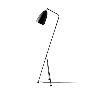 Grasshopper Minimalist Metal Floor Light