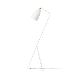 Grasshopper Minimalist Metal Floor Light