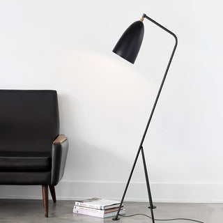 Grasshopper Minimalist Metal Floor Light