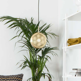Vesper Modern Brass Perforated Chandelier