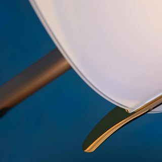 Heart Wing Minimalist Acrylic Floor Light