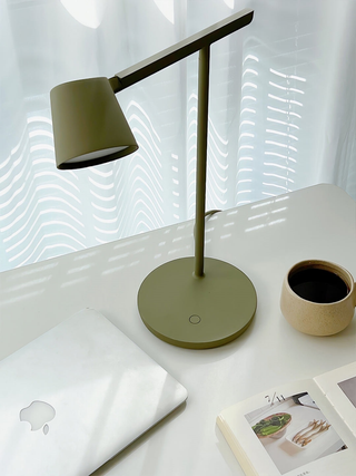 Orion Minimalist Metal Desk Lamp