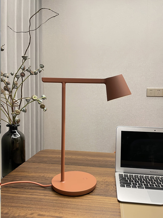 Orion Minimalist Metal Desk Lamp