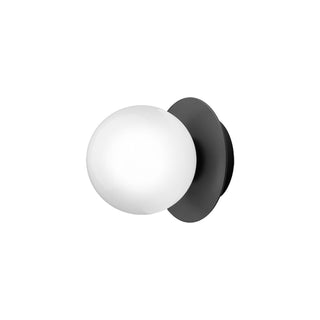 Liila Minimalist Glass Wall Light