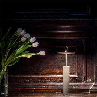 Luca Modern Aluminum Portable Table Lamp
