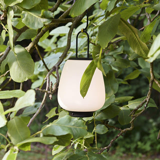 Lucia Minimalist Glass Lantern Table Light