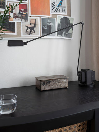 Apex Flex Industrial Metal Table Light