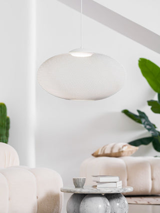 NR Textured Oval Mesh Pendant Light