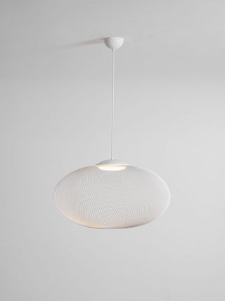 NR Textured Oval Mesh Pendant Light