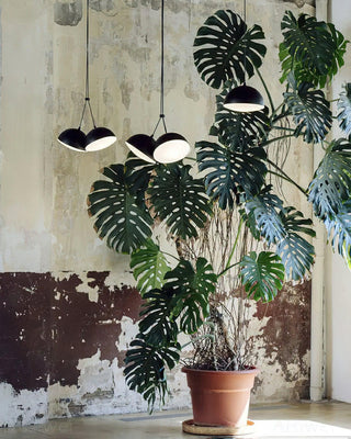 Nod Suspension Modern Iron Pendant Light