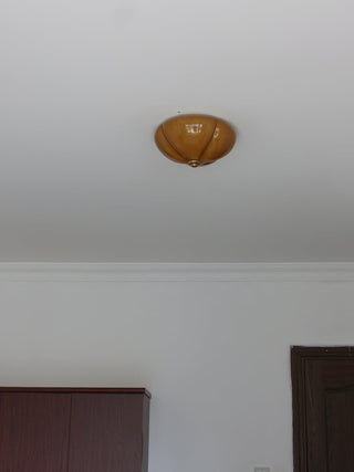 Orange Mushroom Natural Glass Ceiling Light