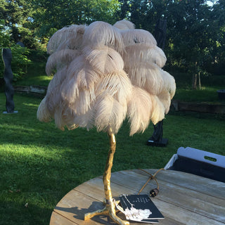 Swan Natural Ostrich Feather Table Light
