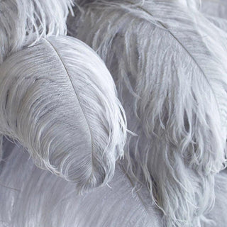 Swan Natural Ostrich Feather Table Light