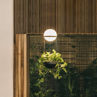 Palma Contemporary Acrylic Pendant Light