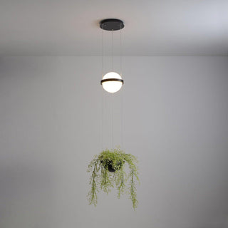 Palma Contemporary Acrylic Pendant Light