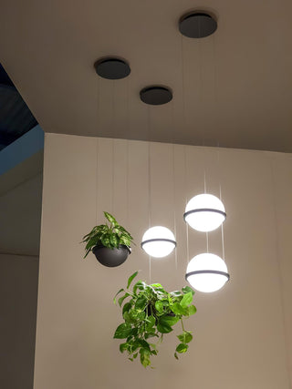 Palma Contemporary Acrylic Pendant Light