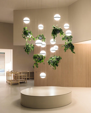 Palma Contemporary Acrylic Pendant Light