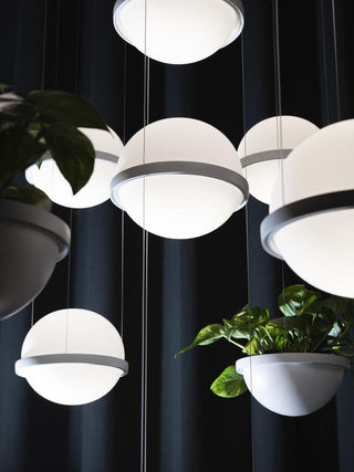 Palma Contemporary Acrylic Pendant Light