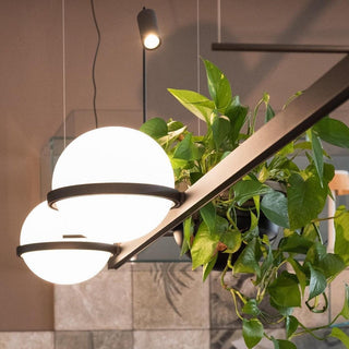 Palma Contemporary Acrylic Pendant Light