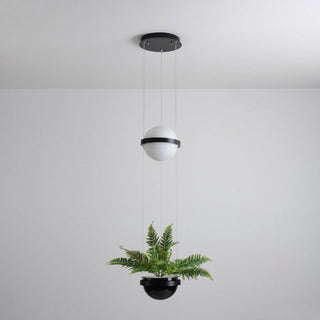 Palma Contemporary Acrylic Pendant Light