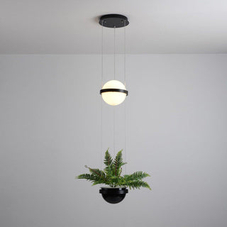Palma Contemporary Acrylic Pendant Light