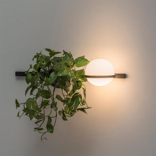 Palma Minimalist Metal Wall Light