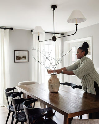 Orion Transitional Metal Chandelier
