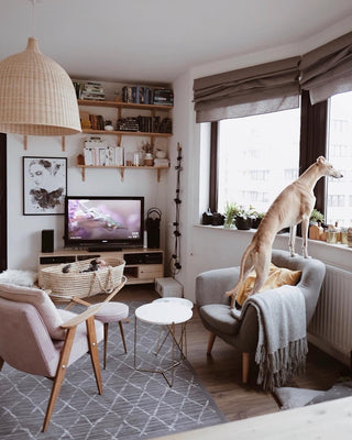 Breeze Oriental Rattan Pandent Ligsht