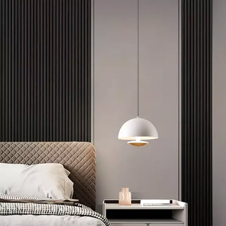 Semi Modern Metal  Pendant Light