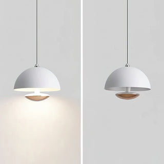 Semi Modern Metal  Pendant Light