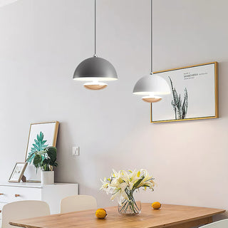 Semi Modern Metal  Pendant Light