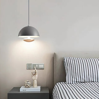 Semi Modern Metal  Pendant Light