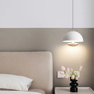 Semi Modern Metal  Pendant Light