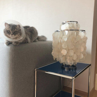 Cove Luxury Shell Table Light